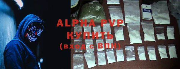 индика Каменка