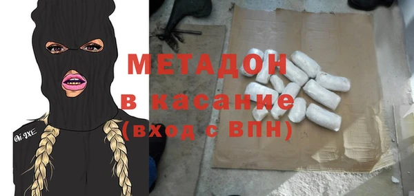 индика Каменка