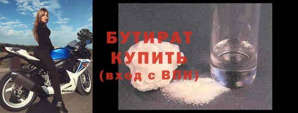 индика Каменка