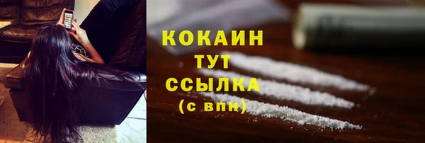 твердый Нижний Тагил