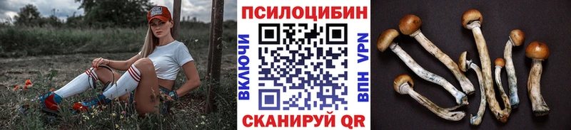 Галлюциногенные грибы Cubensis  ссылка на мегу зеркало  Кувшиново 